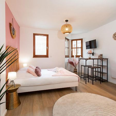 Nouveau - Le Discovery - Petite Venise Colmar Eksteriør bilde